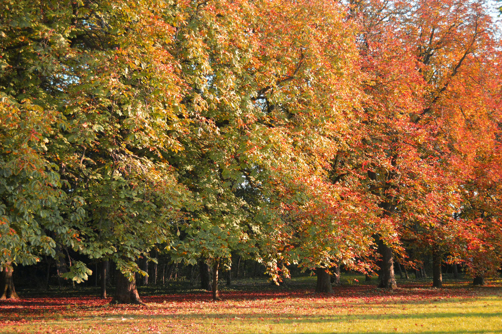 Der Herbst ist da, mit all seinen Farben ...