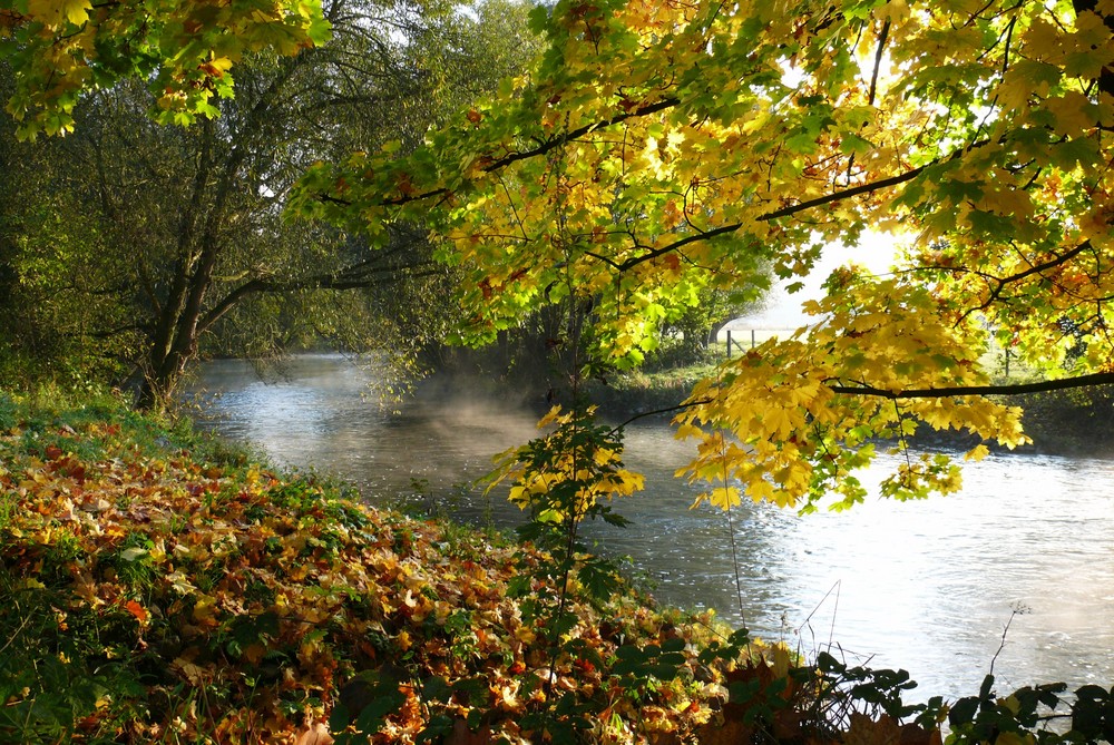 Der Herbst ist da / "Morgennebel auf der Wupper"