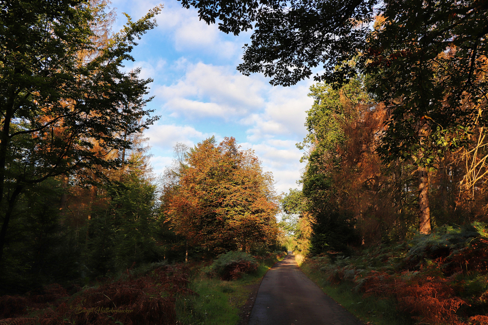 Der Herbst ist der Frühling des Winters.