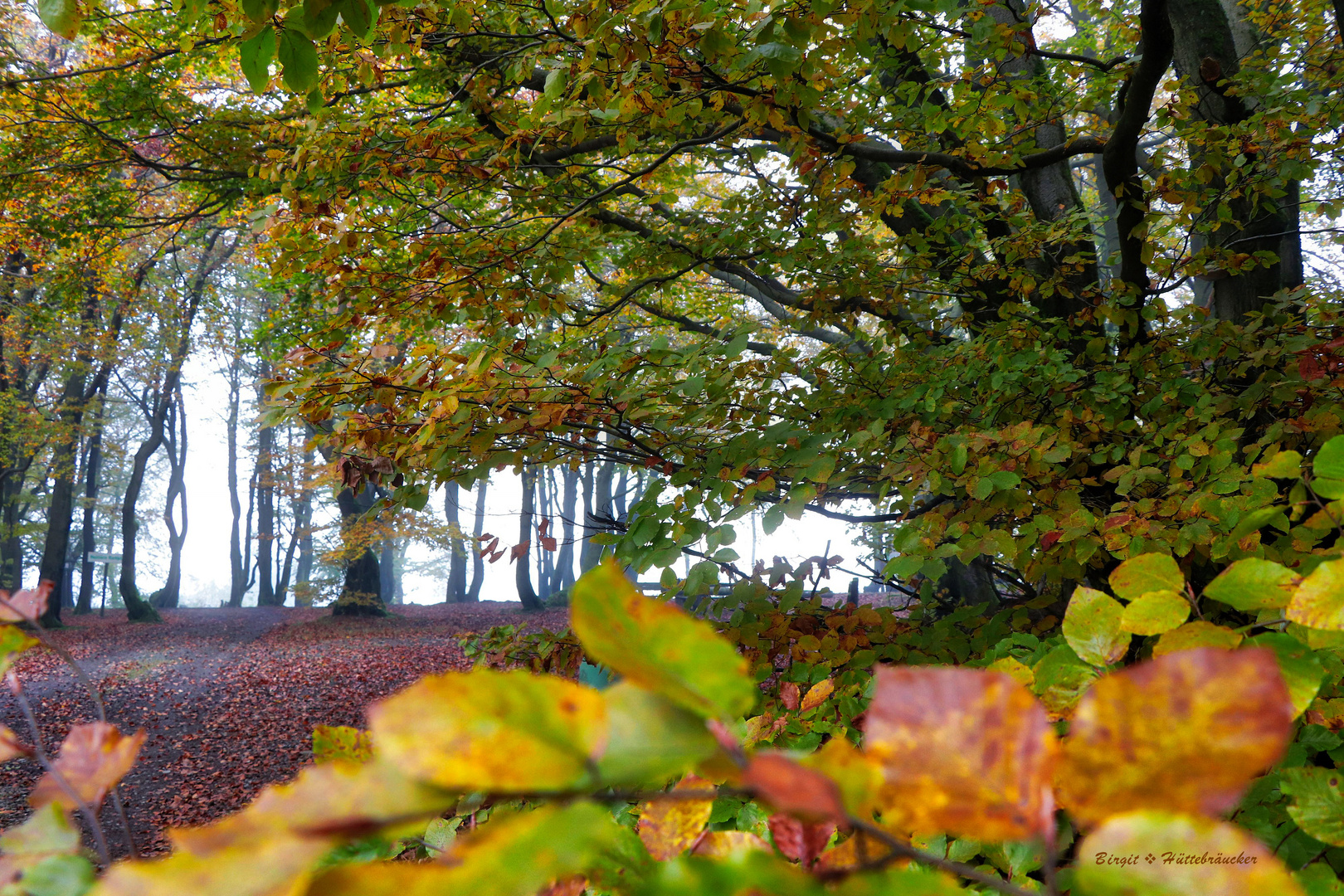 Der Herbst ist der Frühling des Winters