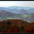 "Der Herbst ist der Frühling des Winters."