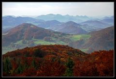 "Der Herbst ist der Frühling des Winters."