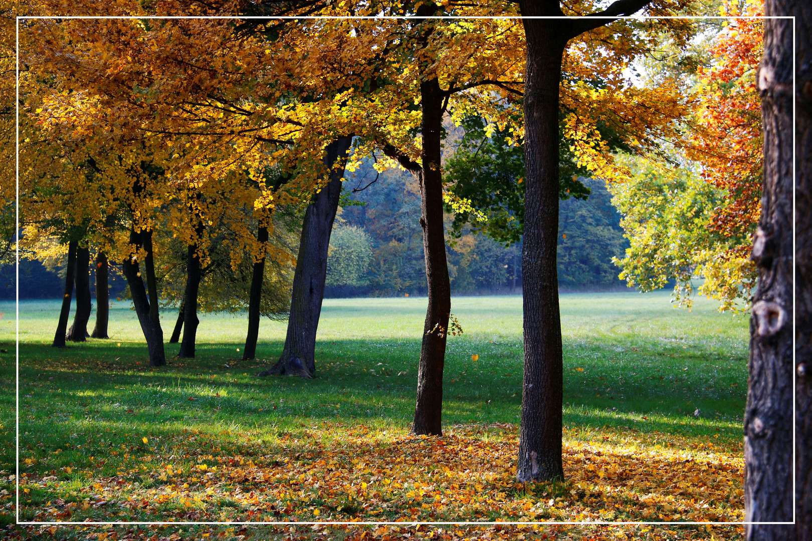 Der Herbst ist der Frühling des Winters....