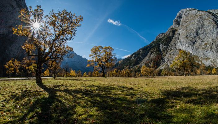 ~ Der Herbst ist der Frühling des Winters ~