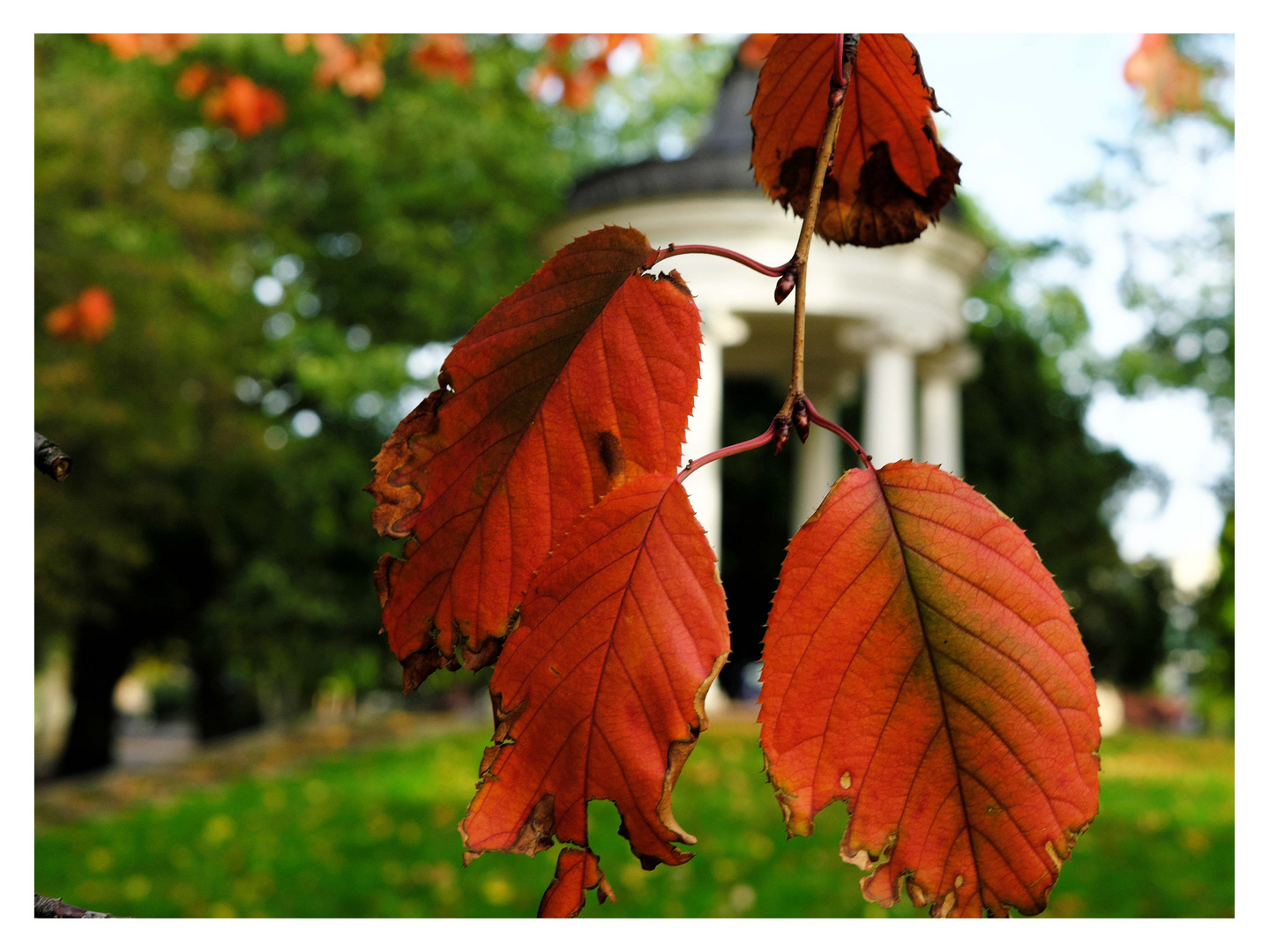 Der Herbst ist der Maler...