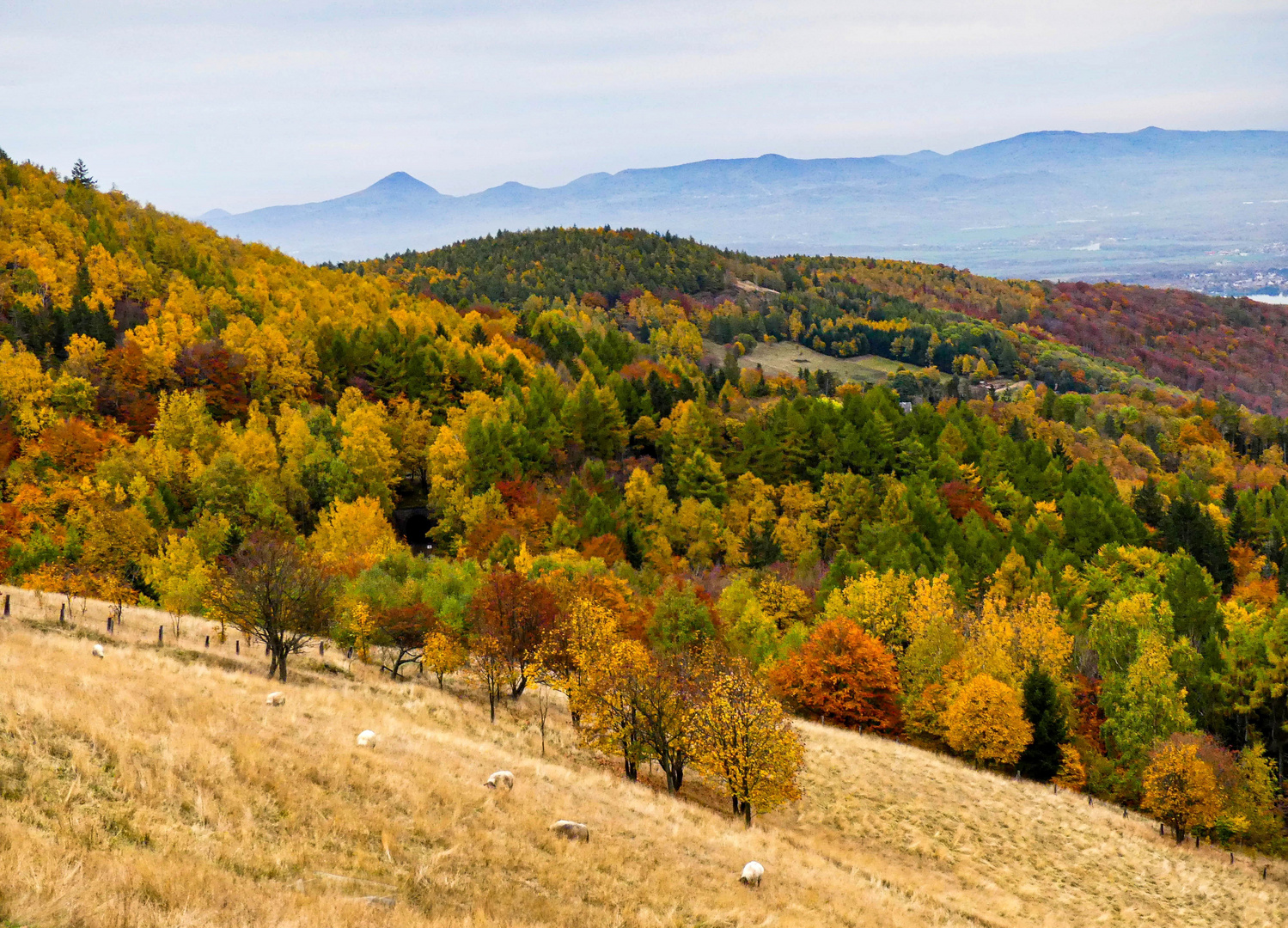 Der Herbst ist ein fleißiger Malersmann