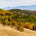 Der Herbst ist ein fleißiger Malersmann