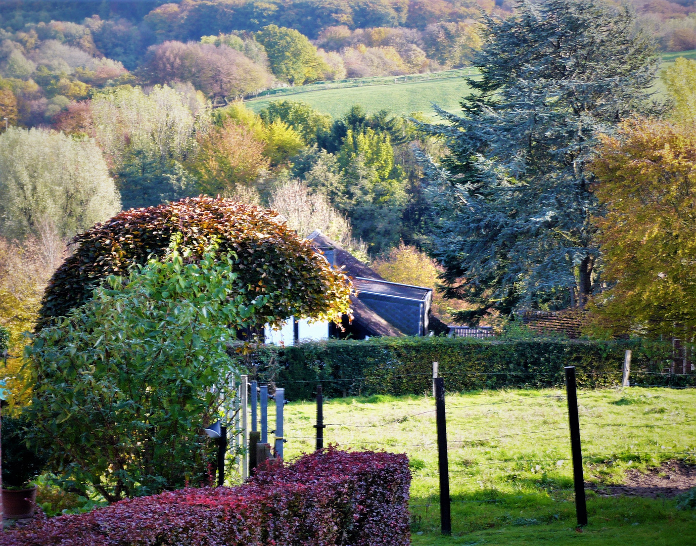 * * der herbst ist ein maler  * *