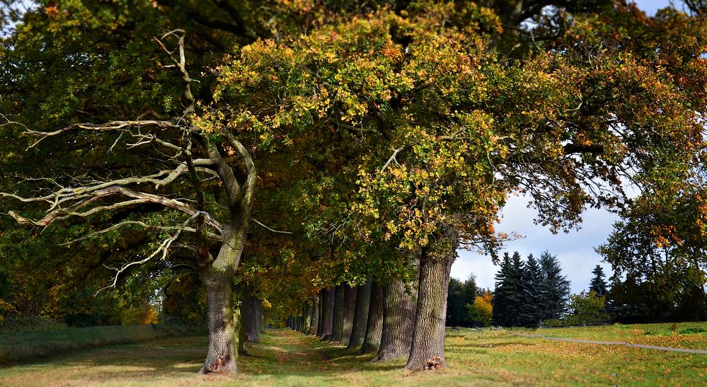 Der Herbst ist eingeläutet