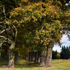 Der Herbst ist eingeläutet