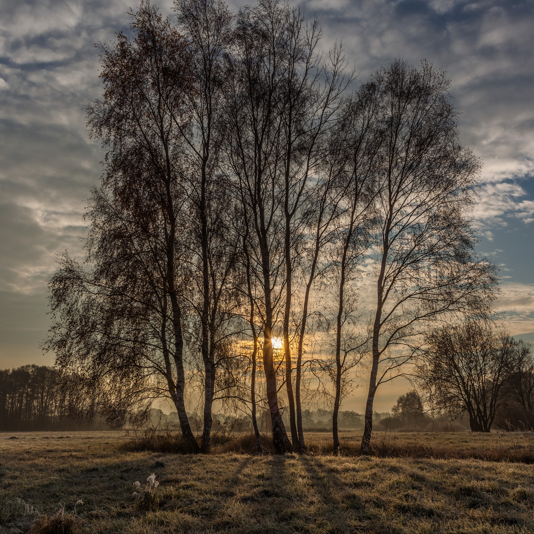 Der Herbst ist gegangen