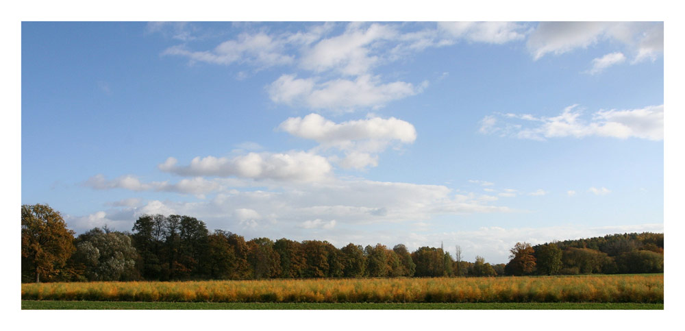 Der Herbst ist gekommen