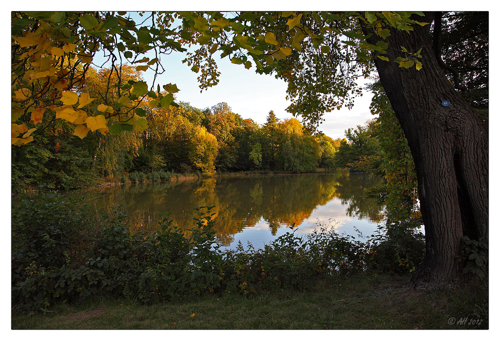 Der Herbst ist gekommen...