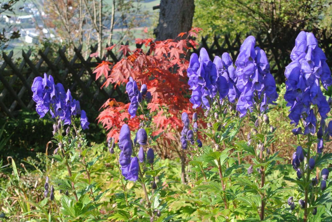 Der Herbst ist gekommen