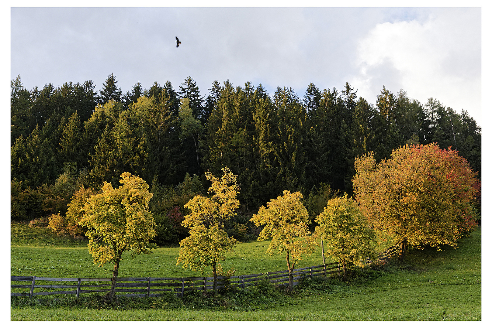 der Herbst ist gekommen