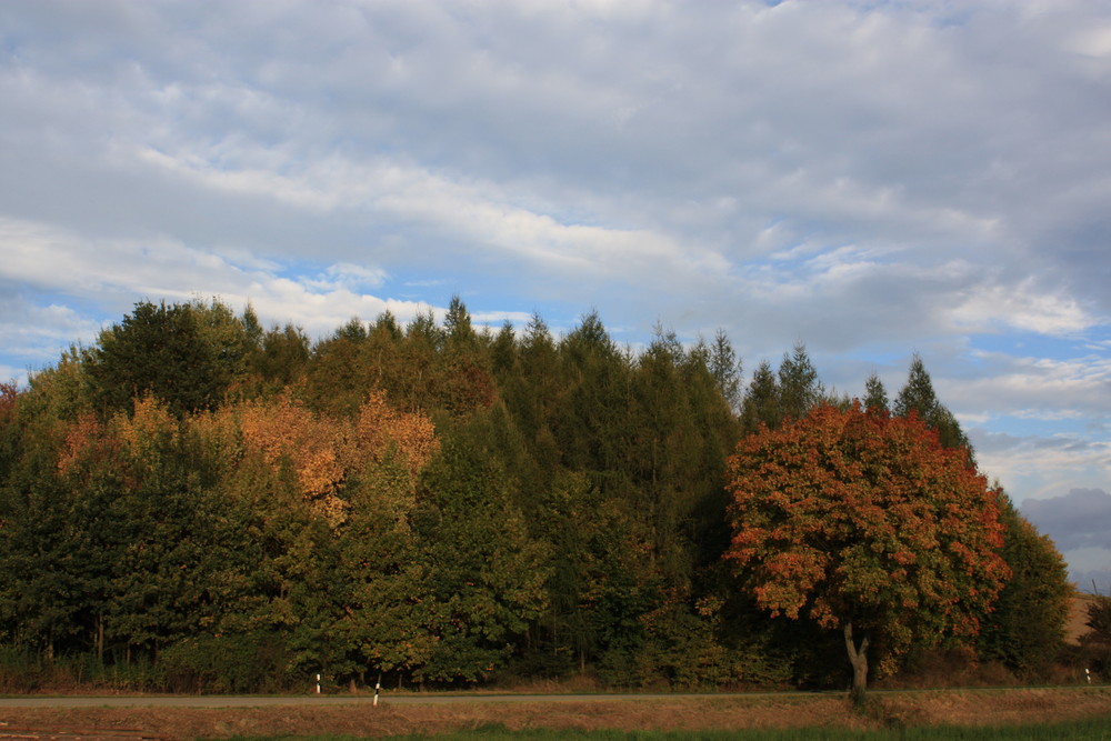 Der Herbst ist gekommen