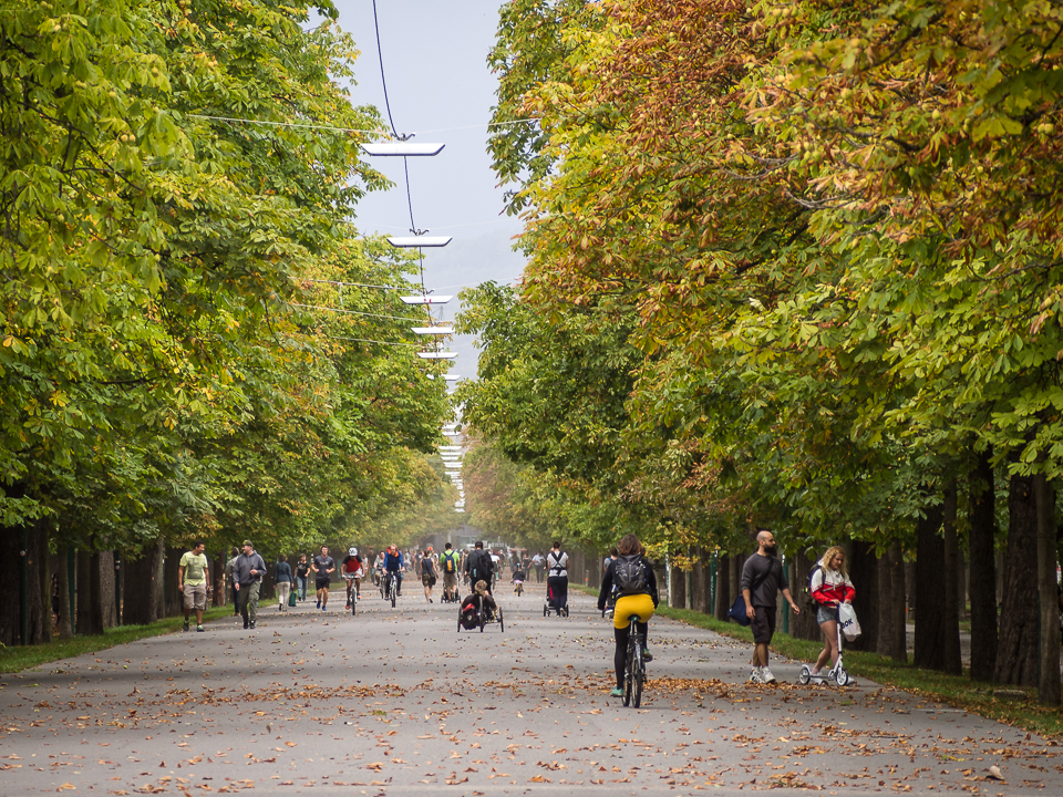 Der Herbst ist im Anmarsch...