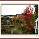 der Herbst ist im Garten eingezogen