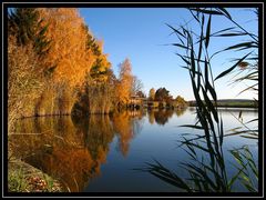 Der Herbst ist im Land