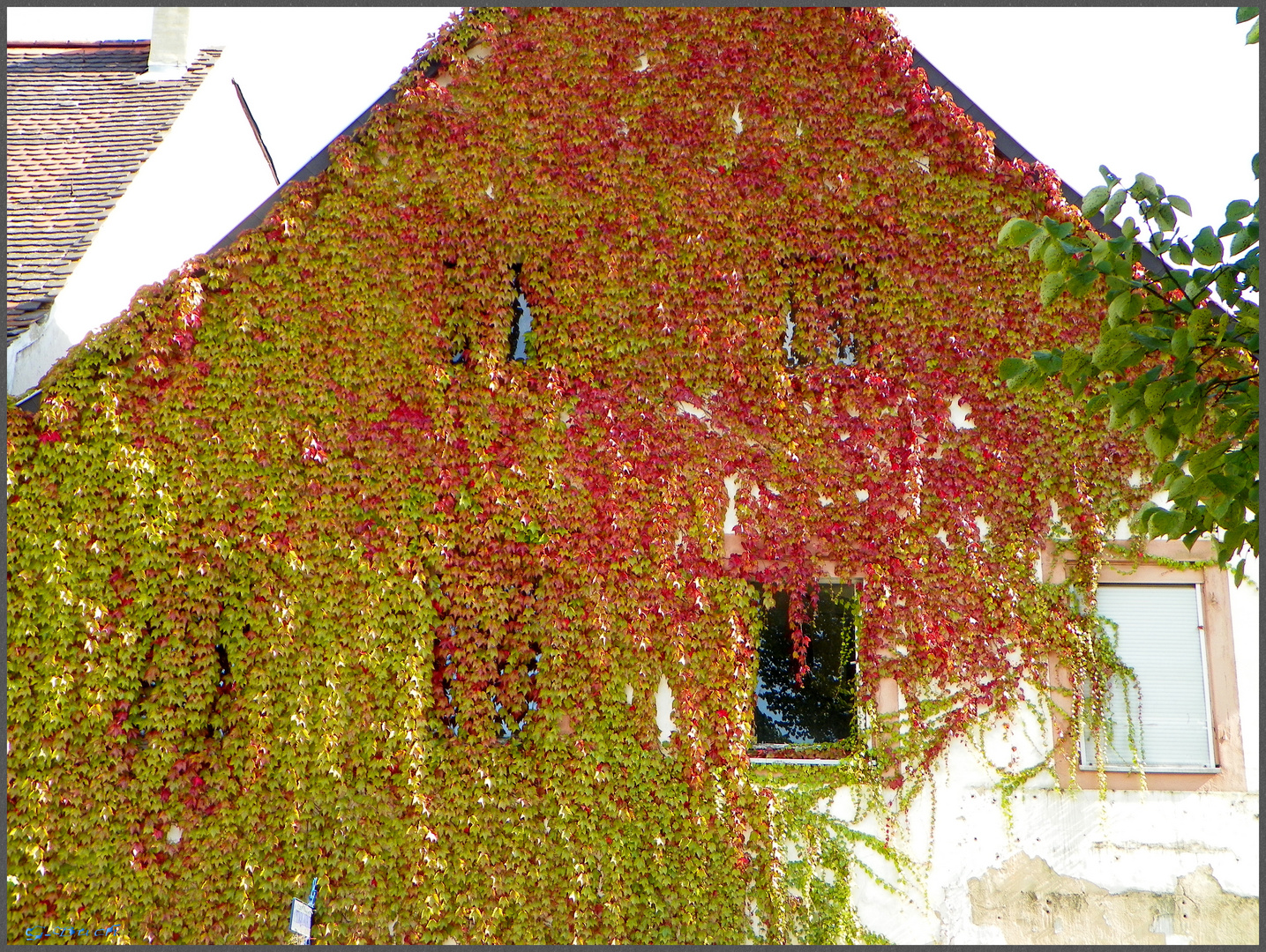 Der Herbst ist nahe