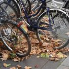 der herbst ist nicht aufzuhalten