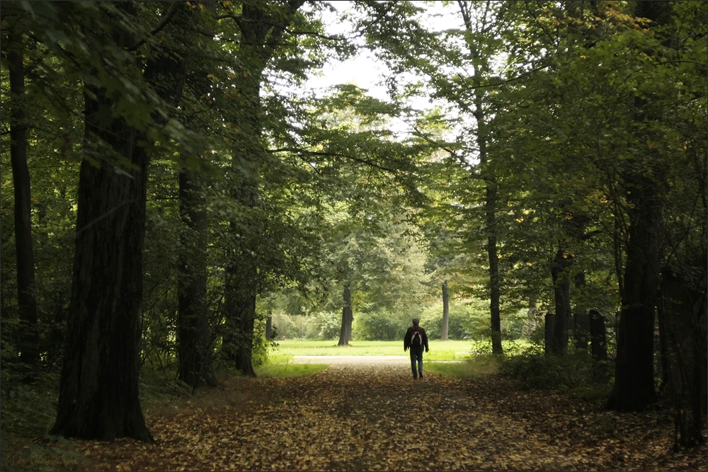 Der Herbst ist nicht mehr fern