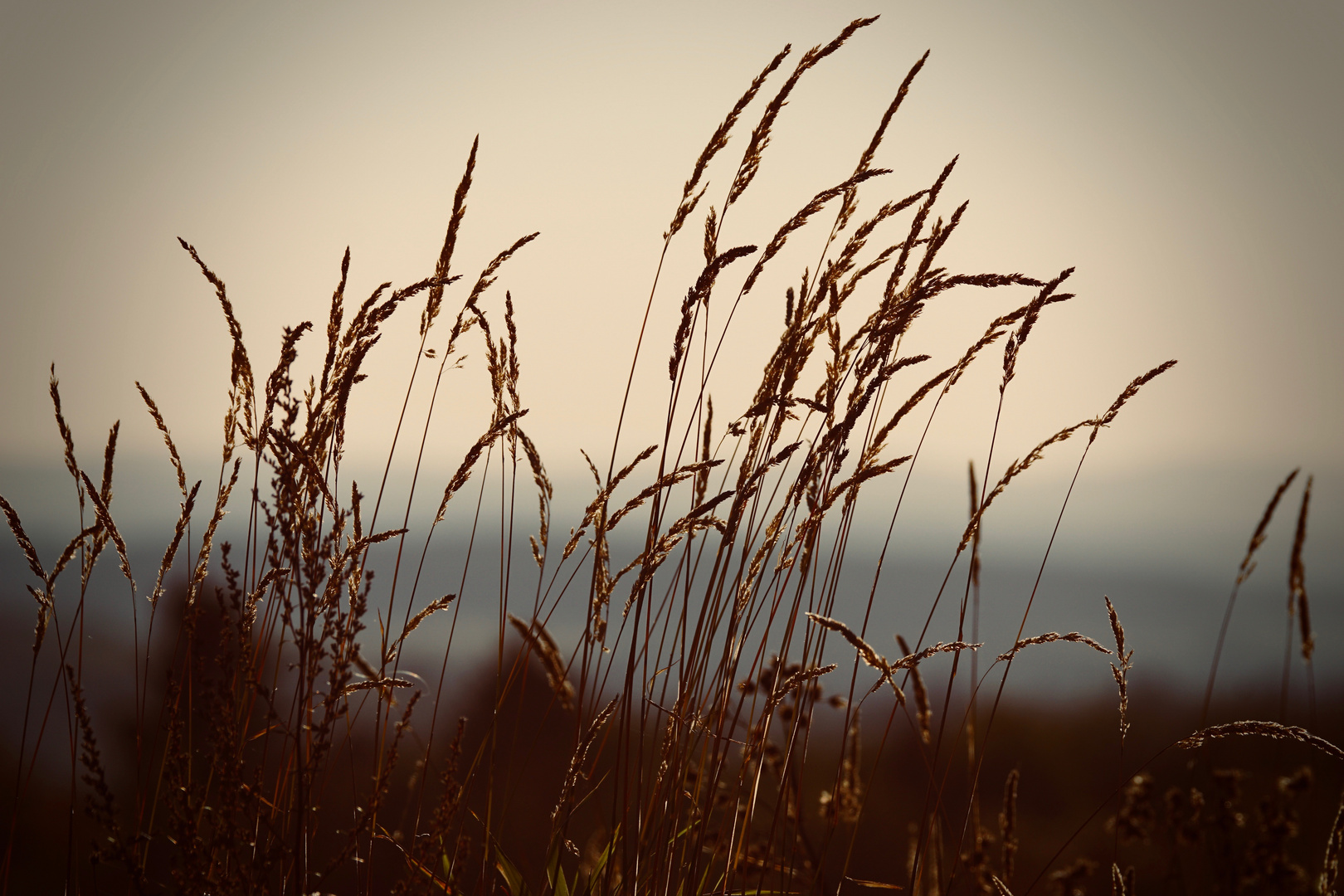 Der Herbst ist nicht mehr weit