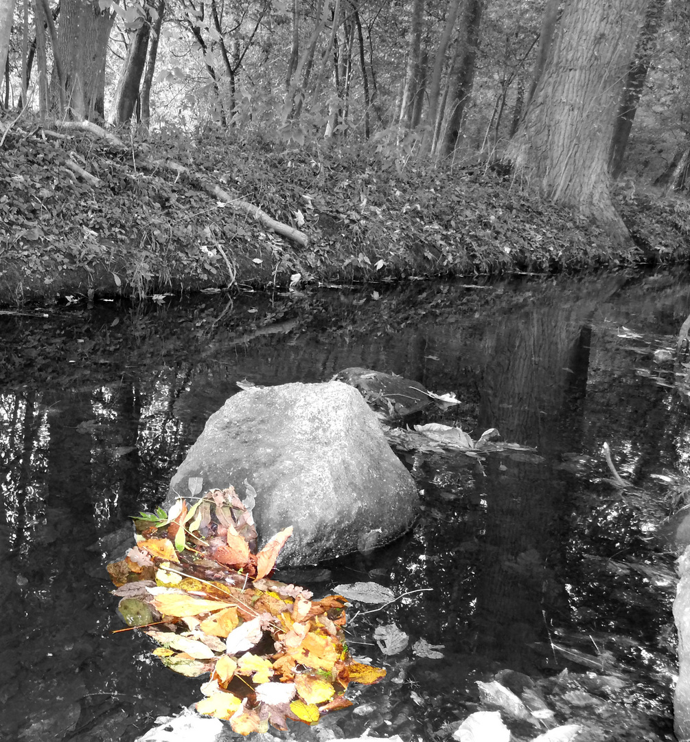 Der Herbst ist nicht schwarz - weiss