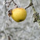 der herbst ist noch nicht weit