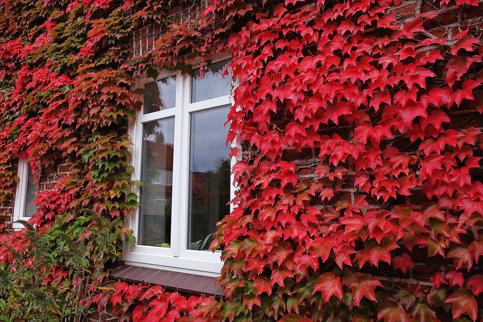 Der Herbst ist nun deutlich sichtbar...