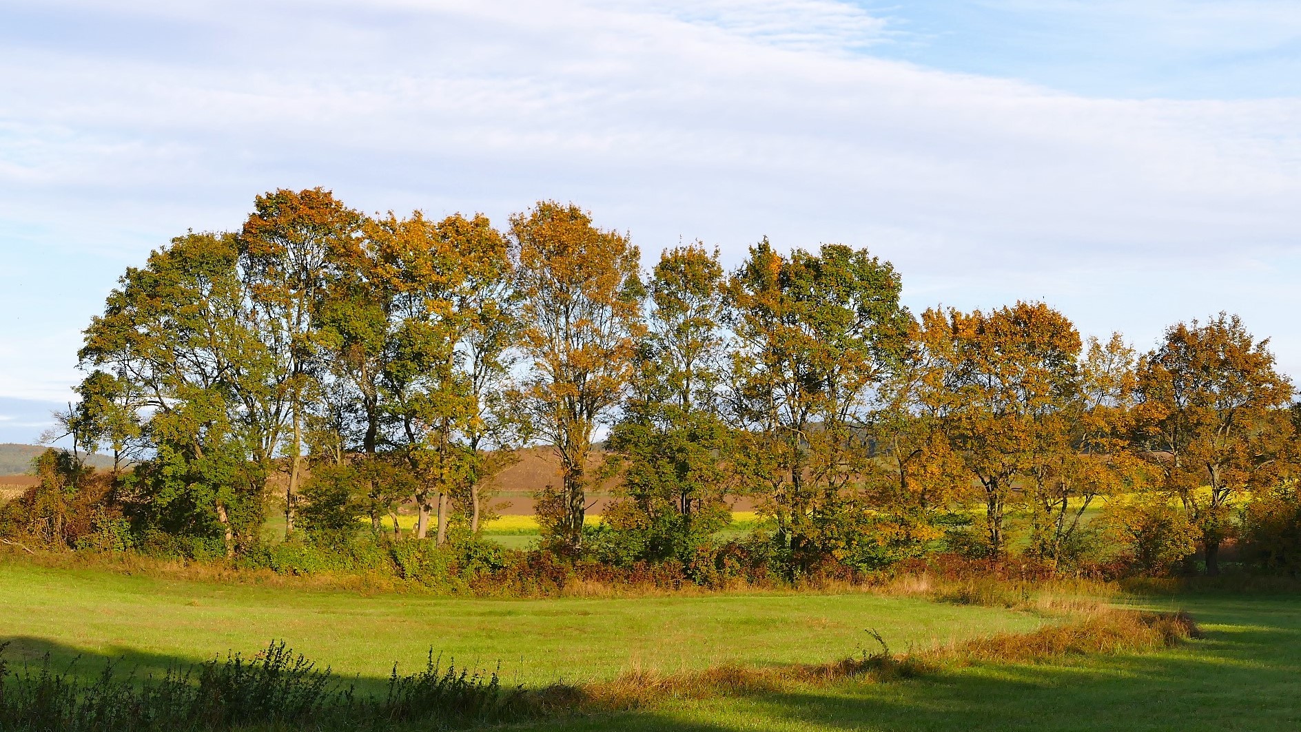 Der Herbst ist schön