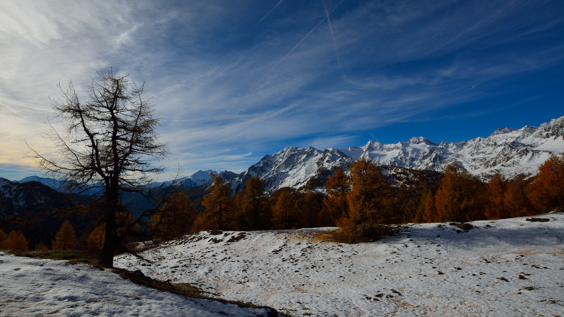 Der Herbst ist schon weit fortgefahren