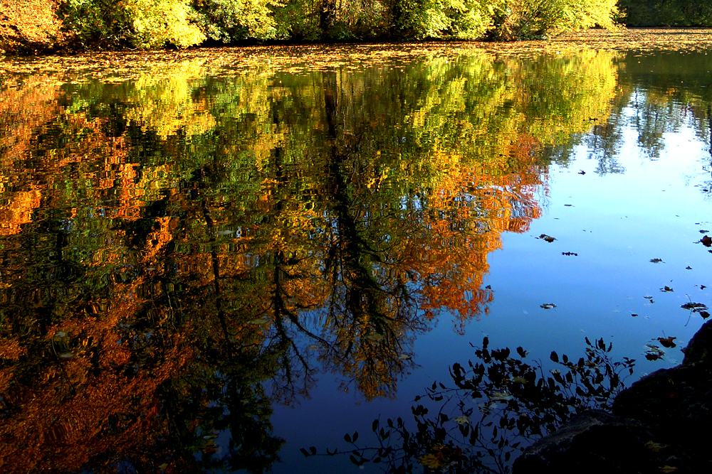 Der Herbst ist unterwegs...