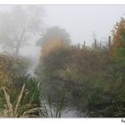 der Herbst ist zurück