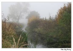 der Herbst ist zurück