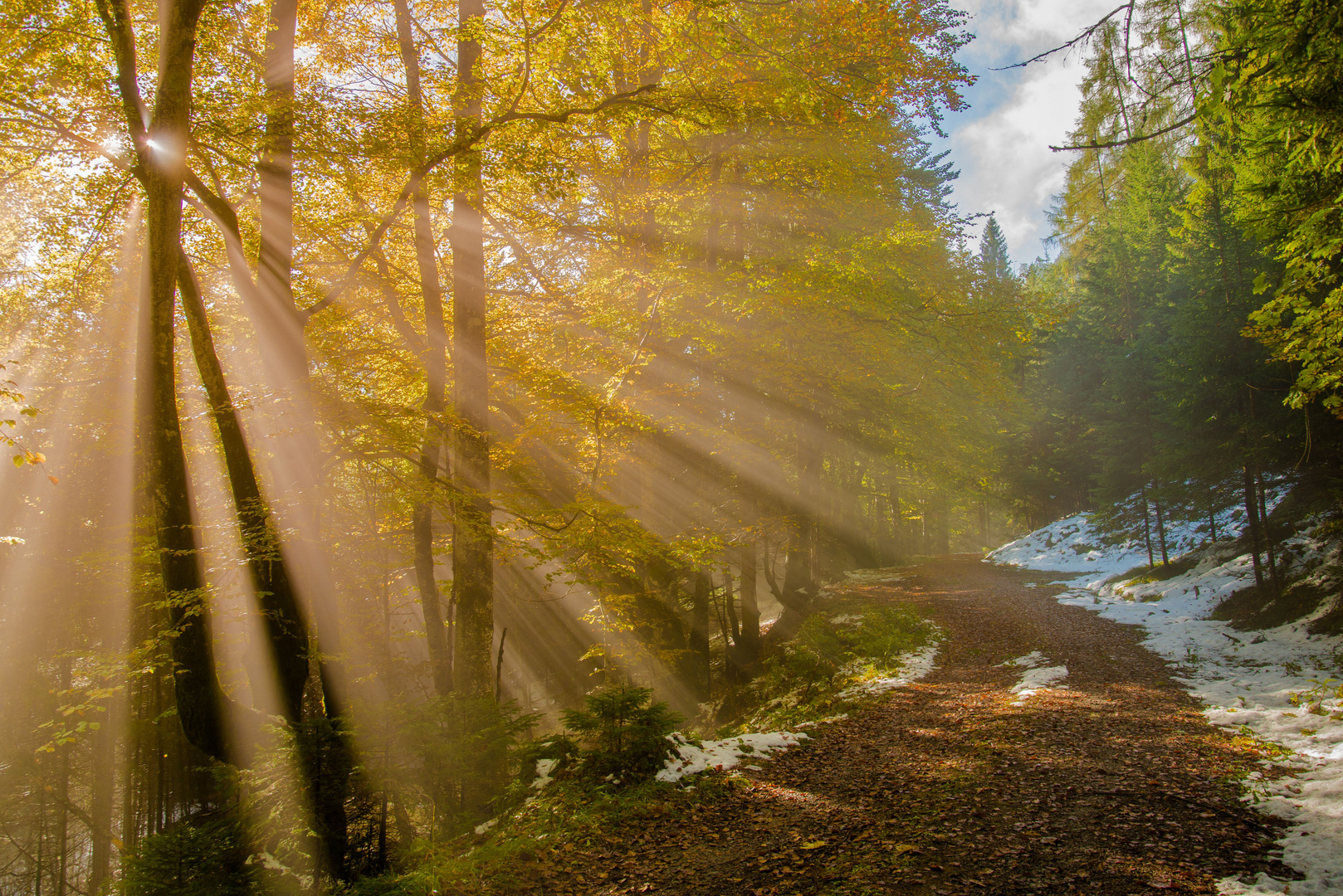 Der Herbst ist zurück