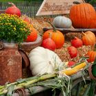 Der Herbst kann kommen :-)