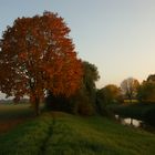 der Herbst kann so schön sein ...