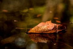 der Herbst kann so schön sein