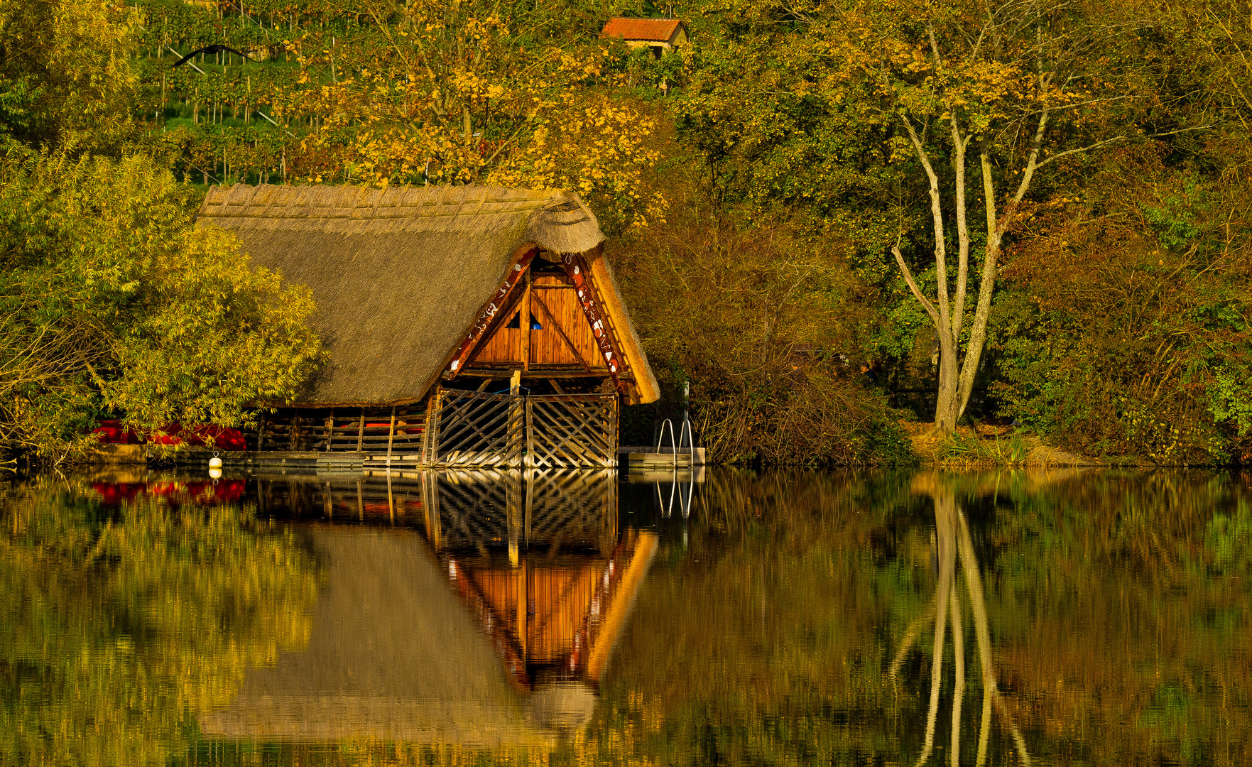 Der Herbst-Klassiker am See 