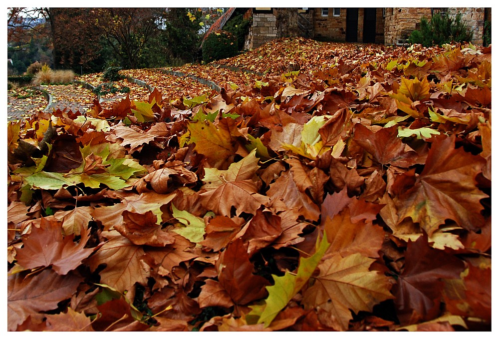 Der Herbst klopft an