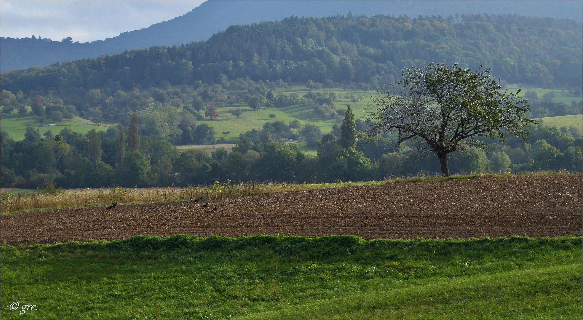 Der Herbst klopft an......