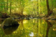 Der Herbst klopft an...  Die Spree im Herbst