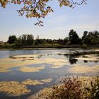 Der Herbst klopft an die Tür