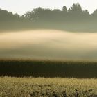 Der Herbst klopft an die Tür ...