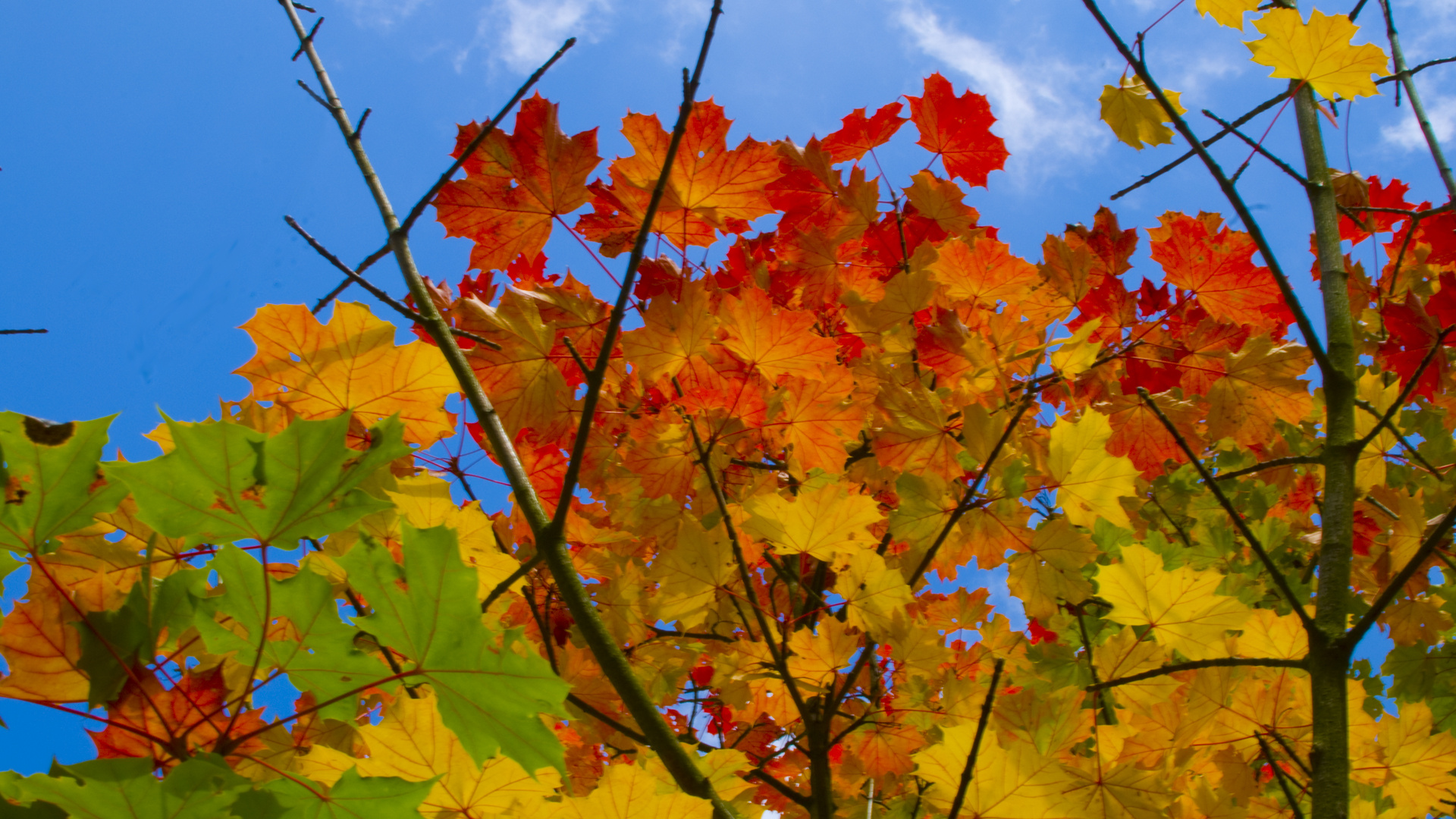 Der Herbst kommt