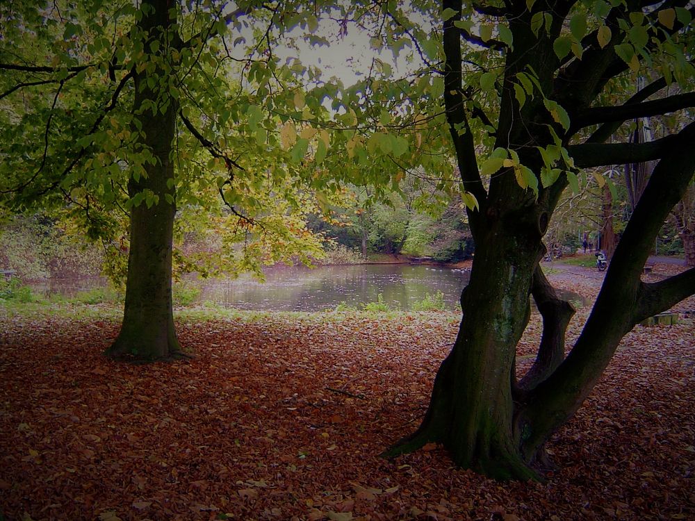 Der Herbst kommt