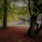 Der Herbst kommt