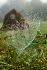 der Herbst kommt 1