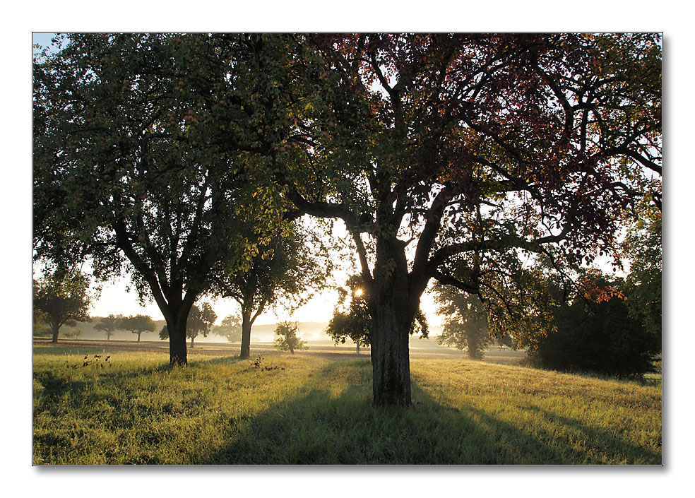 Der Herbst kommt